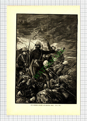 9814) Sir George Colley Majuba Hill - c.1900 Cutting / Print