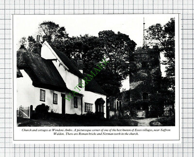 C8029) Wendens Ambo Essex - 1980s Cutting