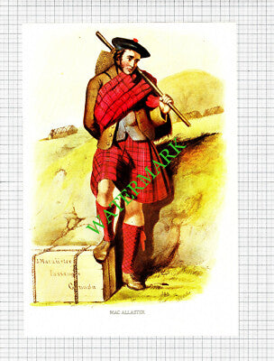 MACALLASTER MAC ALLASTER Scottish Clans - c.1980 Book Print