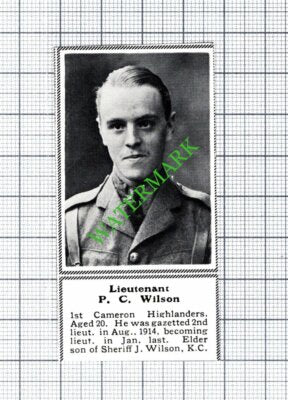 Lt P C Wilson 1st Cameron Highlanders Sheriff J Wilson WW1 - 1915 SMALL Cutting