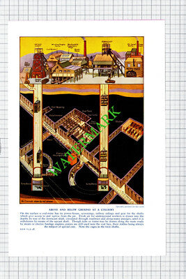 Colliery Diagram - c.1950s Illustration / Print