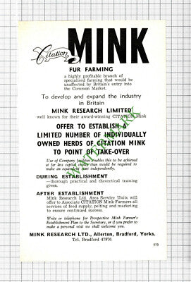 Mink Fur Farming Mink Research Ltd Bradford Yorkshire Advert - 1962 Cutting