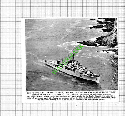 HMS ACTAEON Ship Knysa Cape Province - 1953 Cutting