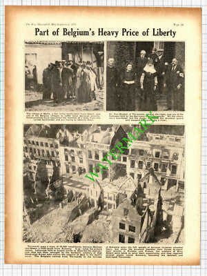 Termonde Belgium Dr Van Wynkel World War One - 1914 Cutting
