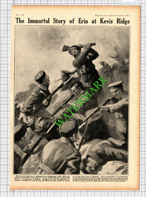 Inniskillings Kevis Ridge World War One WW1 -1915 Cutting / Print