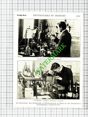 Food Examination Government Laboratories Clement's Inn - c.1915 Cutting