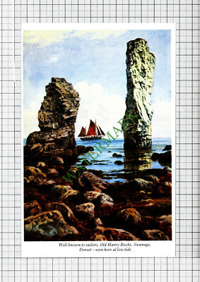 C4366) Old Harry Rocks Swanage Dorset - c.1990s Cutting