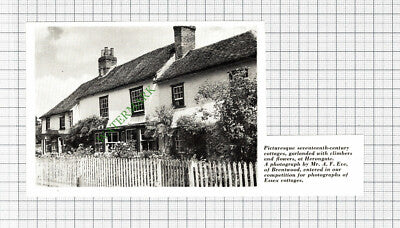 Herongate Essex Cottage - 1964 Cutting