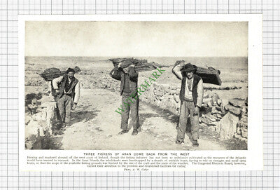 Aran Fishermen Ireland - c.1930s Cutting