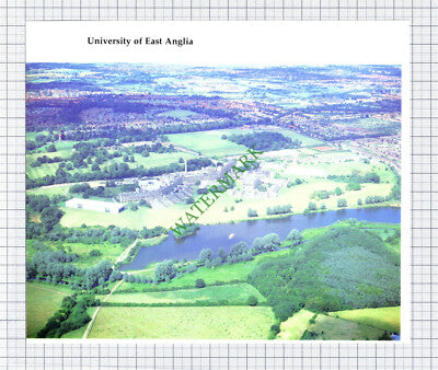 9914) University Of East Anglia Norfolk - 1980s Cutting / Print