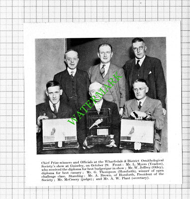 Wharfedale Ornithological Society Guiseley Yorkshire McCreery - 1938 Cutting