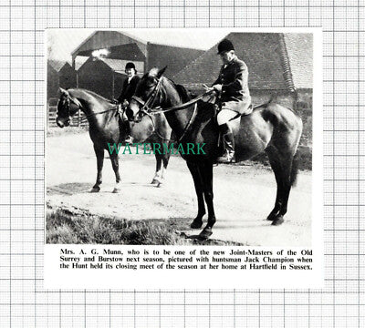 C5462) Mrs A G Munn Old Surrey & Burstow Hunt Jack Champion - 1972 Cutting