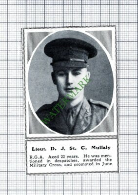 Lt D J St C Mullaly RGA -1915 SMALL Cutting