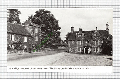 C8053) Corbridge - 1970s Cutting / Print