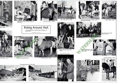 9682) Northlands Stables Walkington Bensted Wiles Hildyard Syder - 1967 Cutting