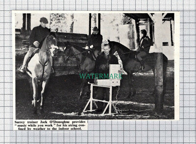 C5332) Jack O'Donoghue Surrey Horse Trainer - 1968 Cutting