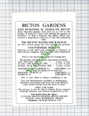 Bicton Gardens East Budleigh Advert -1968 Small Cutting