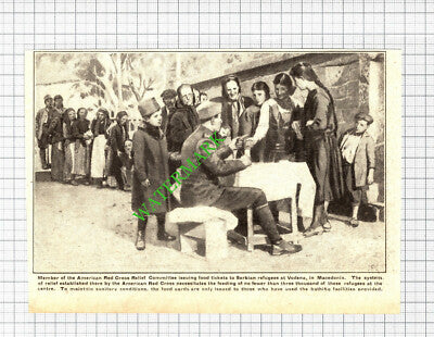 American Red Cross Relief Committee Vodena Macedonia WW1 - 1918 Cutting