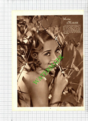 Sylvia Sidney Actress / Marion Marsh - 1930s Clipping / Print