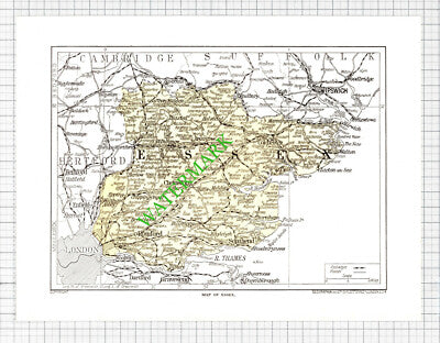 Map of Essex - 1920's Cutting / Print