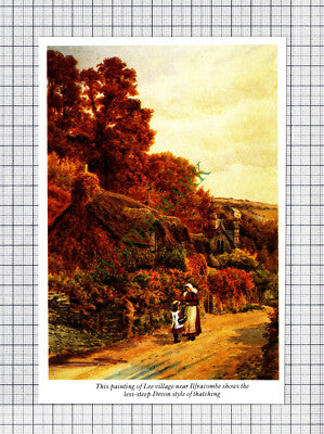 C1422) Lee Village Ilfracombe - 1980s Cutting