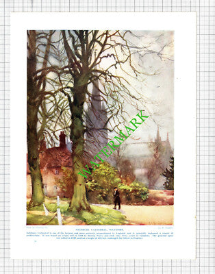 Salisbury Cathedral G F Nicholls - 1920's Print