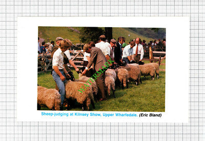 Kilnsey Show Upper Wharfedale - 1988 Cutting