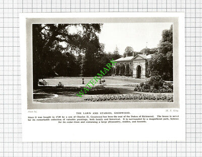 Goodwood - 1920's Cutting