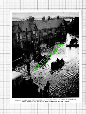 Nelson Road Whitstable Kent Floods - 1953 Cutting