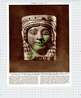 Professor M E Mallowan Nimrud Iraq Museum Baghdad Head - 1953 Cutting