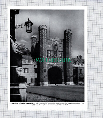 X1958) Trinity College Cambridge / Ely Cathedral - 1960s Book Print