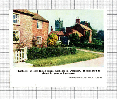 Bugthorpe Yorkshire - 1962 Small Cutting