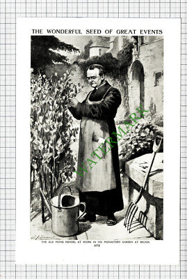 Monk Mendel At Brunn - c.1940s Cutting / Print