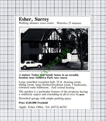 C7844) Esher Surrey - 1981 Cutting