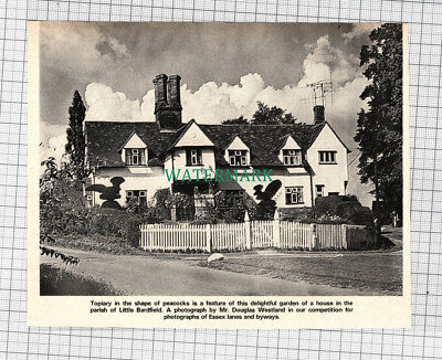 C866) Topiary In Little Bardfield Essex Douglas Westland - 1972