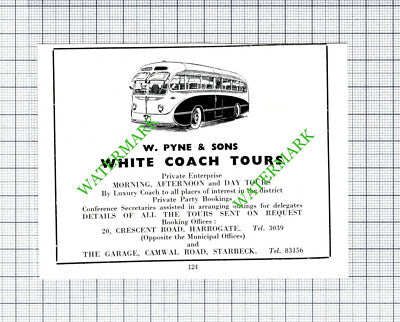 W Pyne & Sons White Coach Tours Harrogate Advert - 1959 Small Cutting