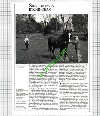 Shire Horses Haremere Hall Etchingham Sussex John Lavis - 1986 Cutting
