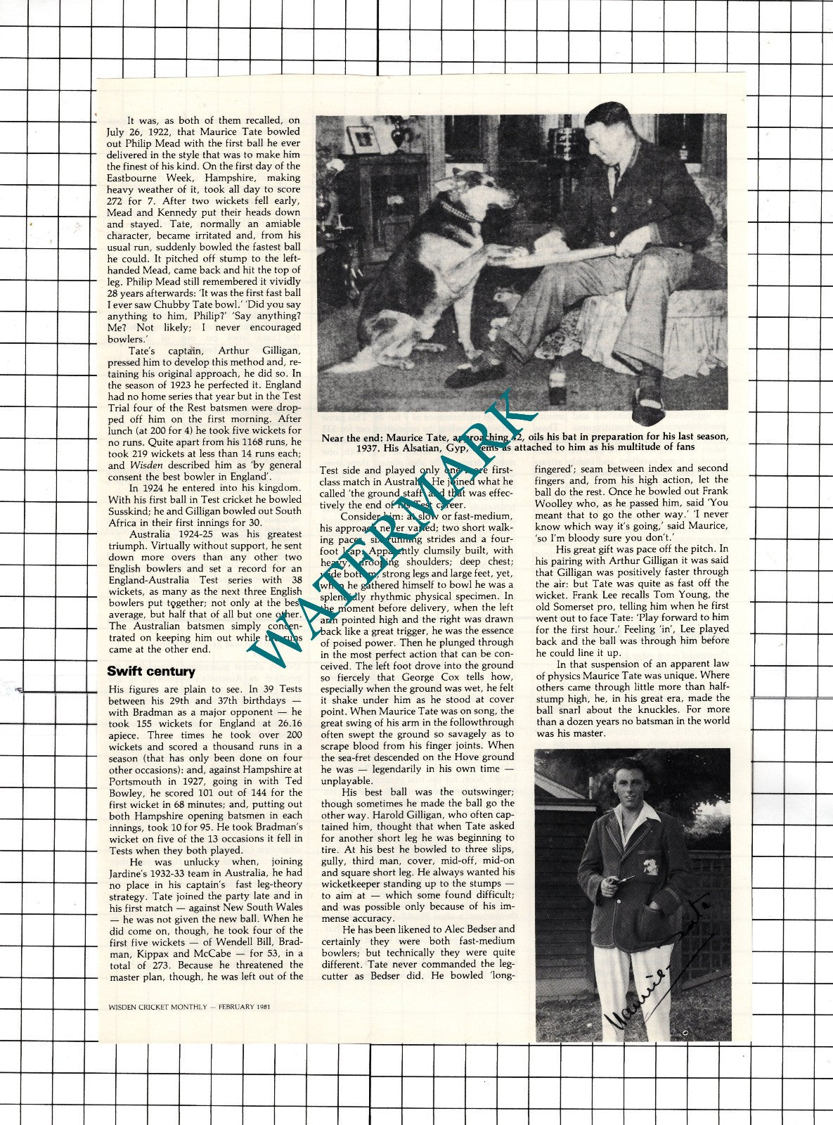 Maurice Tate Cricket Cricket - 1981 Article