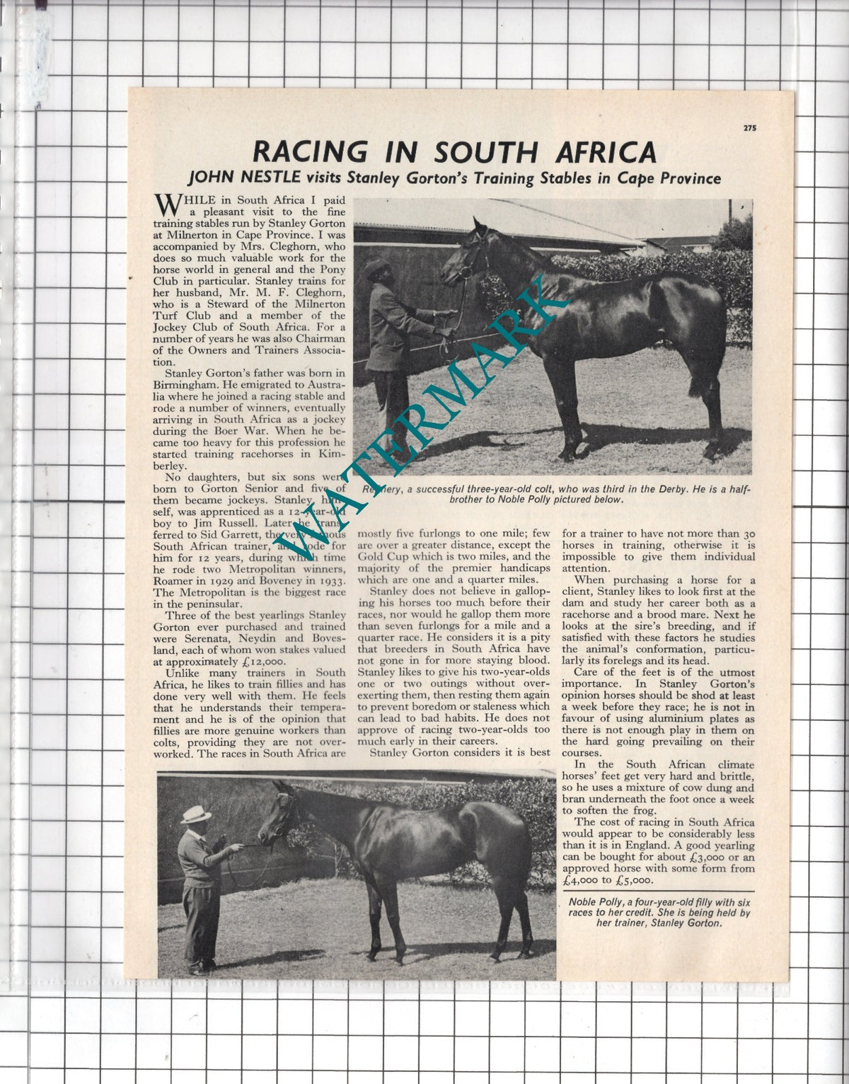 Stanley Gorton Milnerton Cape Province Horse Traning Stables - 1966 Article