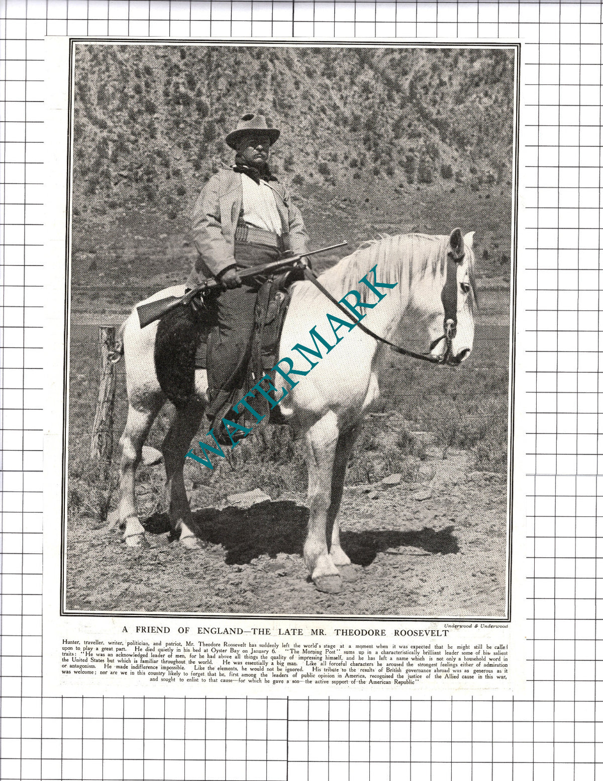Mr Theodore Roosevelt Dies - 1919 Cutting / Print