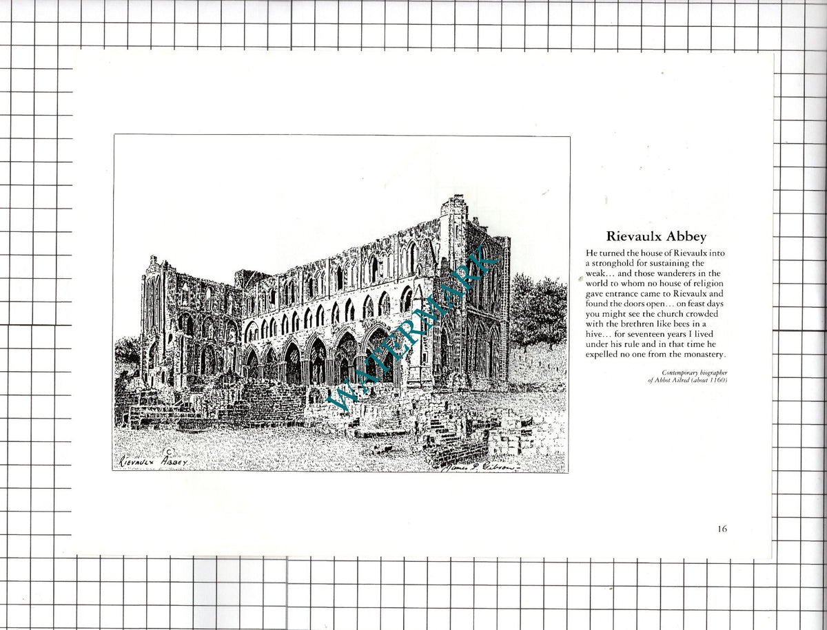 Helmsley North Yorkshire / Rievaulx Abbey - c.1990's Cutting