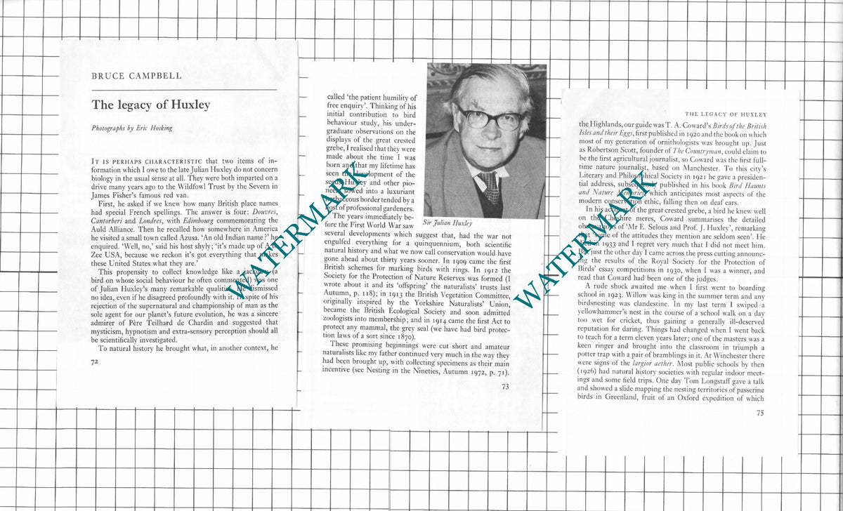 Sir Julian Huxley - 1975 Article / Print