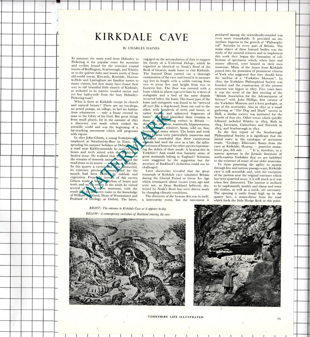 Kirkdale Cave Yorkshire - 1954 Article