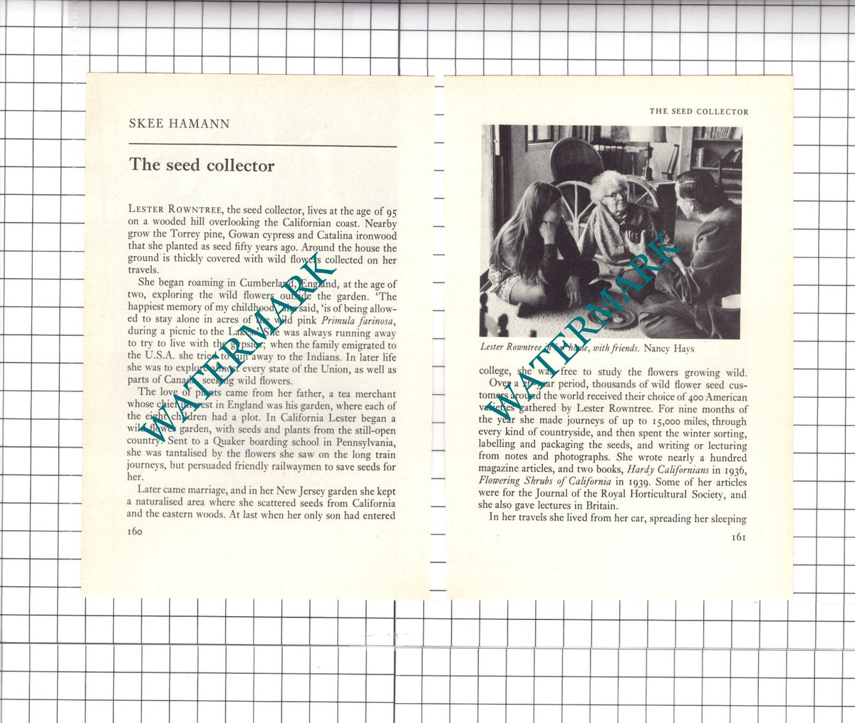 Lester Rowntree Seed Collector California - 1974 Article