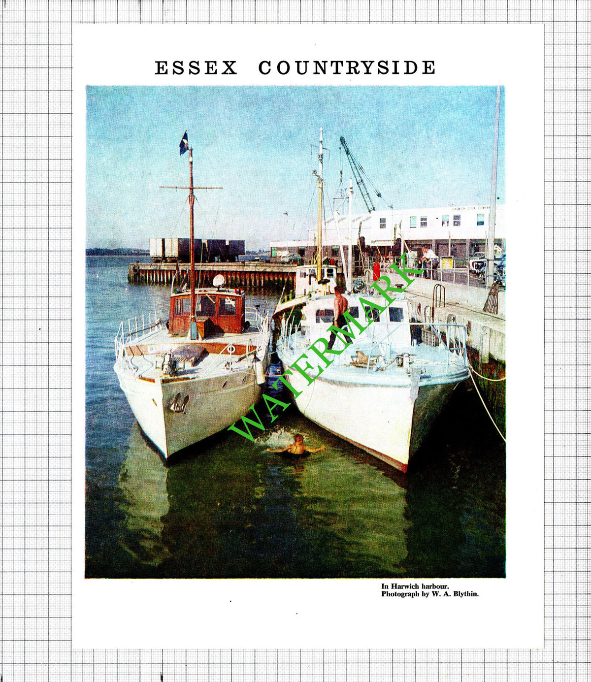 Harwich Essex Harbour - 1968 Cutting / Print