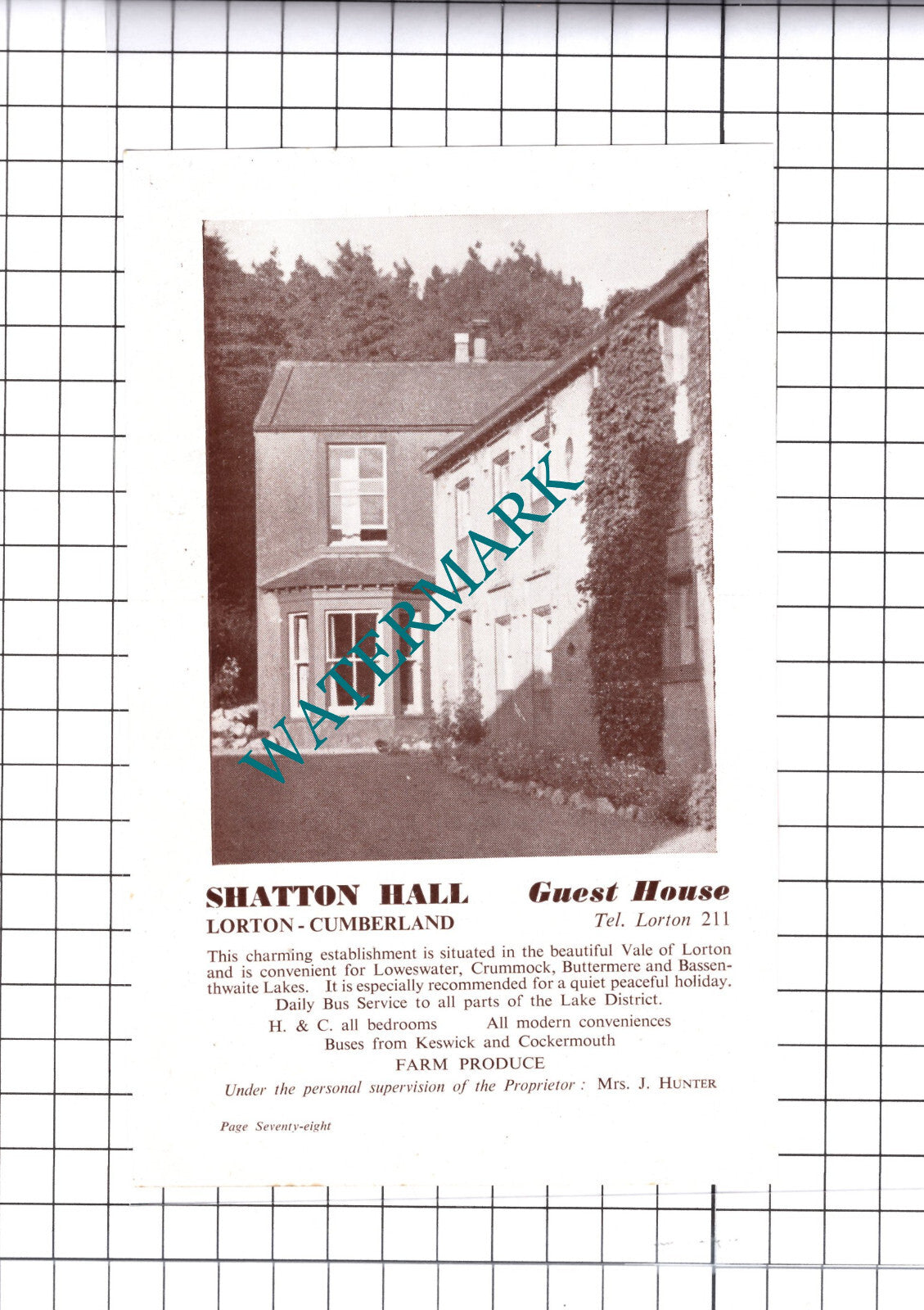 Shatton Hall Lorton Cumbria Mrs J Hunter Advert - c.1952 Cutting