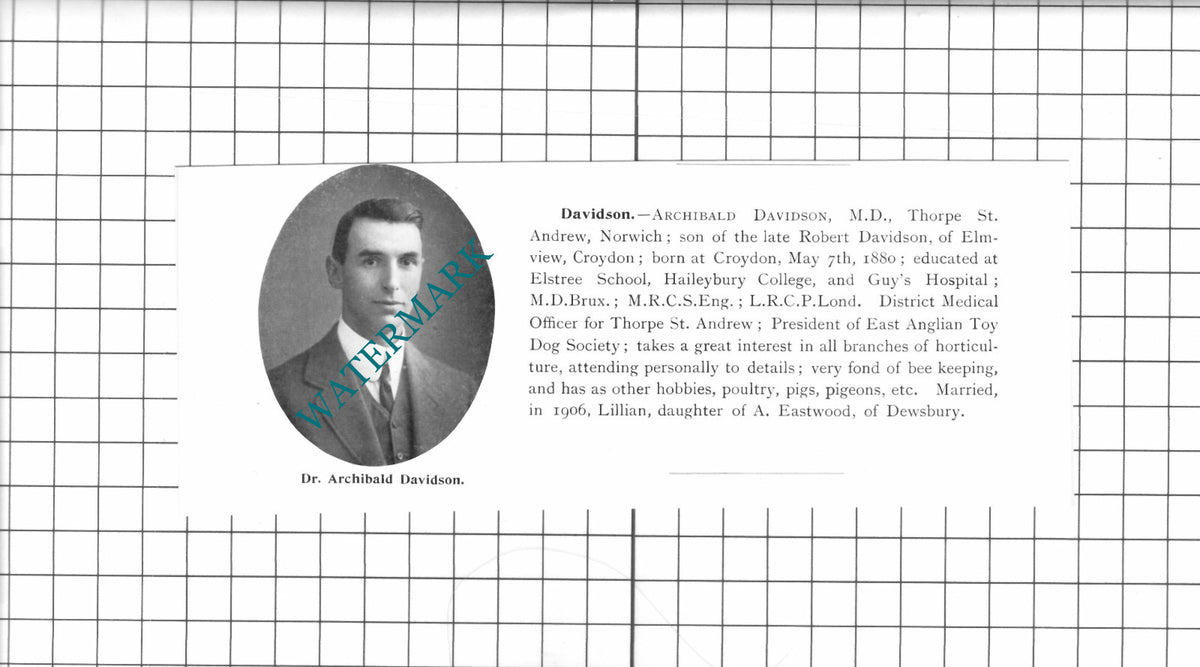 Archibald Davidson Thorpe St Andrew Norwich Norfolk - 1911 Clipping