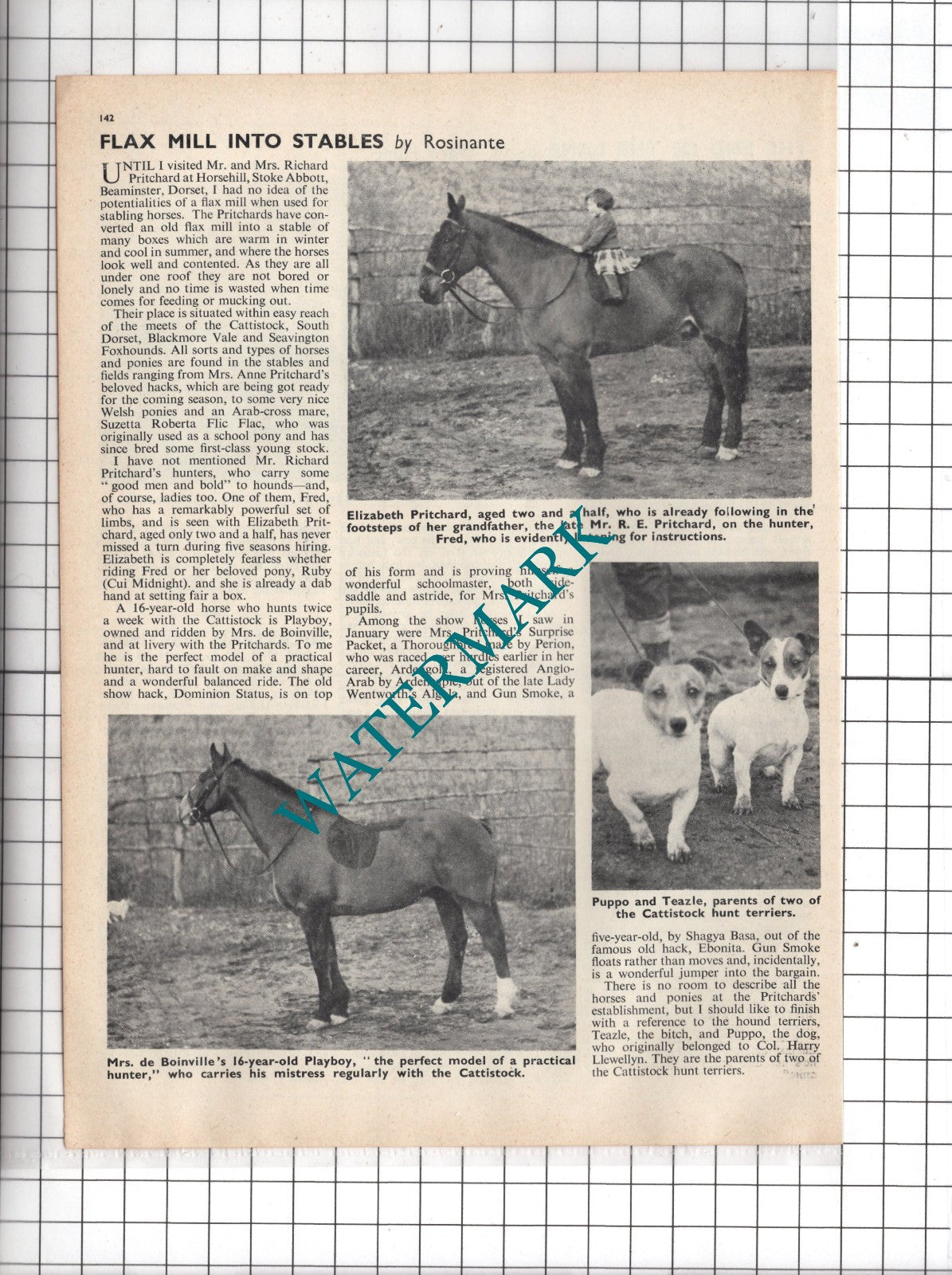 Mr & Mrs Richard Pritchard Horsehill Stoke Abbott Beaminster Dorset 1962 Article
