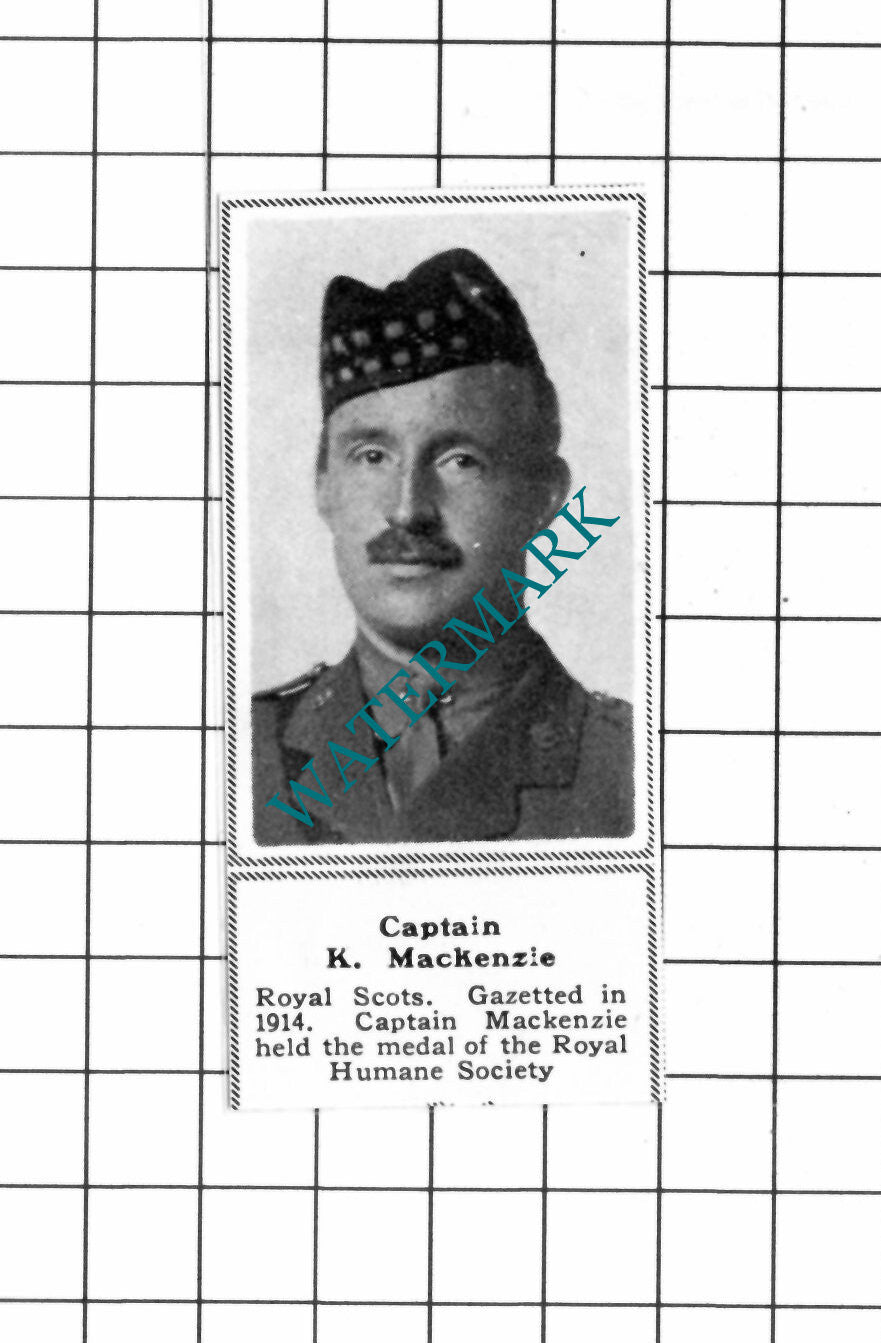 Captain K Mackenzie Royal Scots WW1 - c.1918 SMALL Clipping / Print