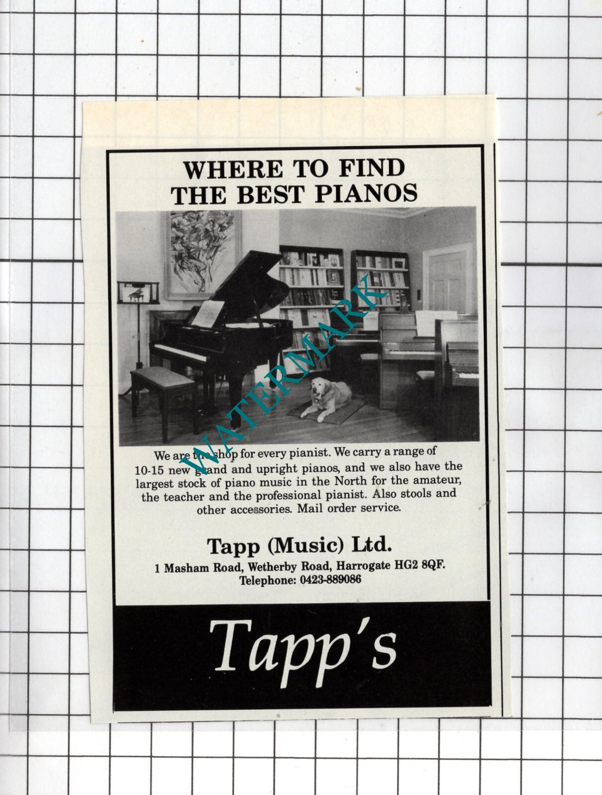 Tapp (Music) Ltd 1 Masham Road Harrogate Yorkshire - 1985 SMALL Advert